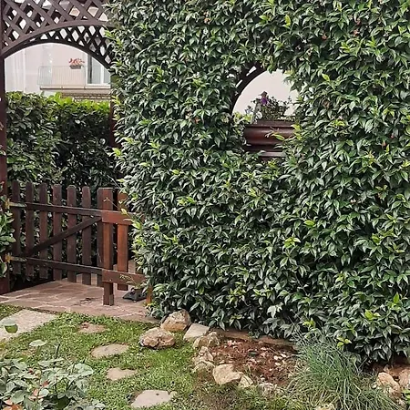 Il Piccolo Antico